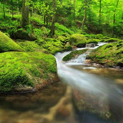 Where the fairies live, Germany