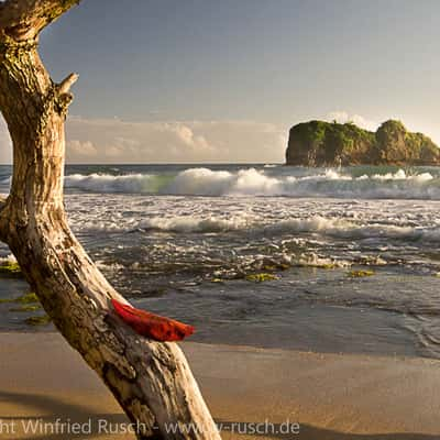 Am Strand von Puerto Viejo, Costa Rica