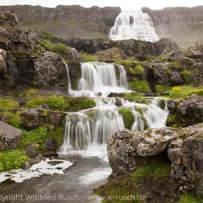 Dynjandi Waterfall from a distance, Iceland