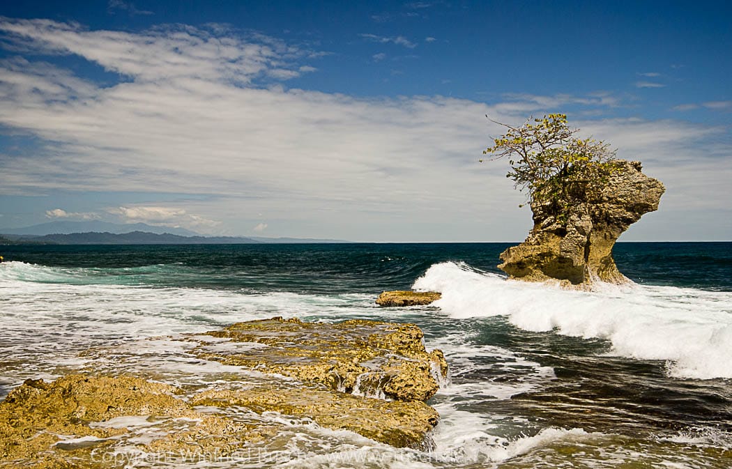 Gandoca-Manzanillo-Nationalpark in Costa Rica, Costa Rica