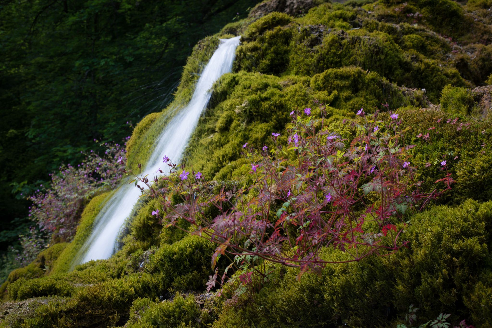Gütersteiner Waterfall, Germany