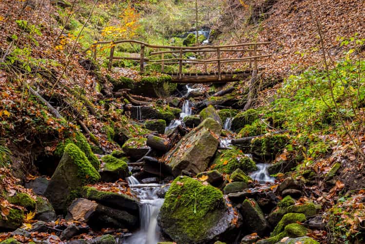 Heslacher Waterfall, Stuttgart