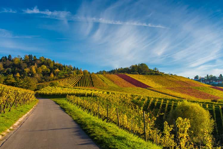 Kappelberg Stuttgart