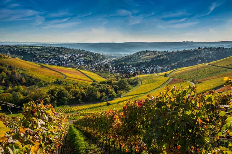 Kappelberg Stuttgart