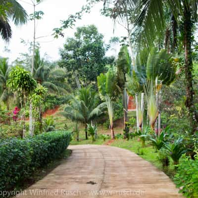 Laguna del Lagarto Lodge, Costa Rica