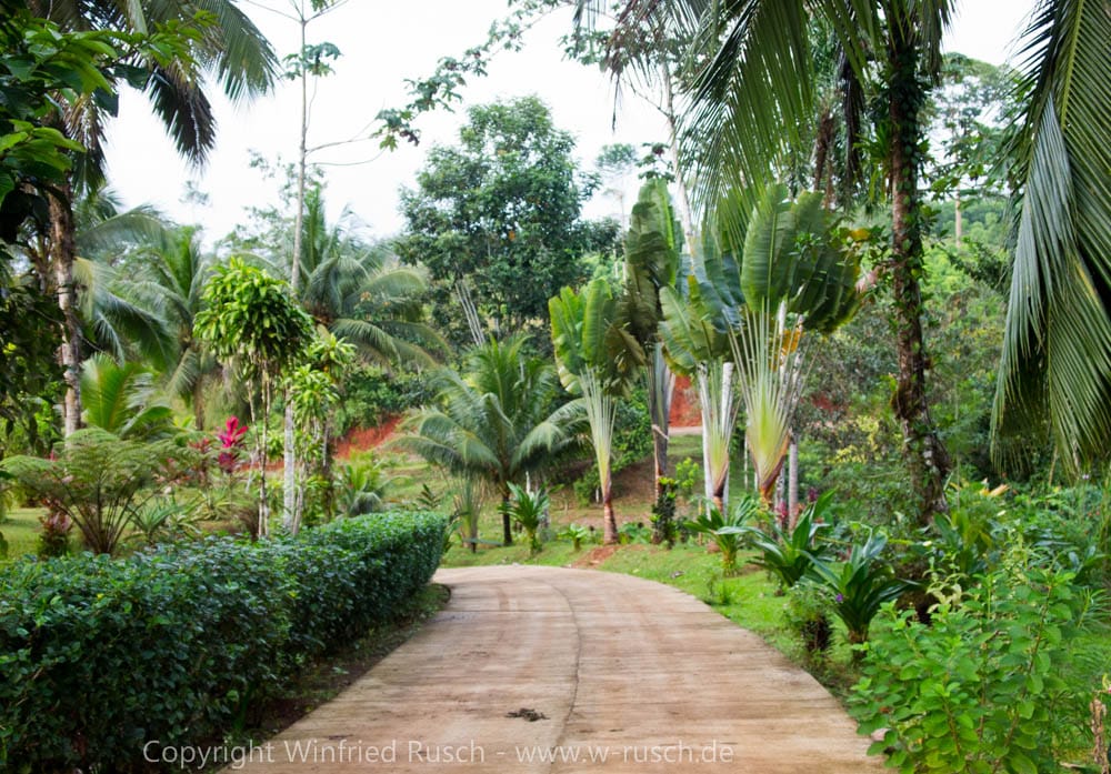 Laguna del Lagarto Lodge, Costa Rica