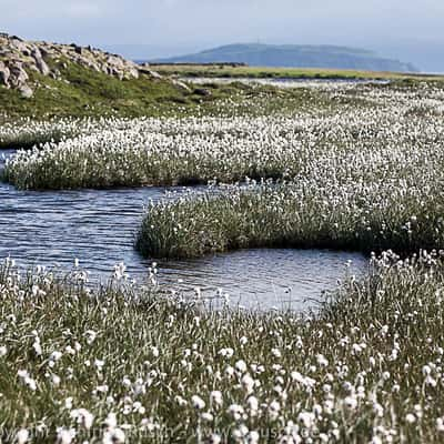 Landscape at Drangsnes, Iceland