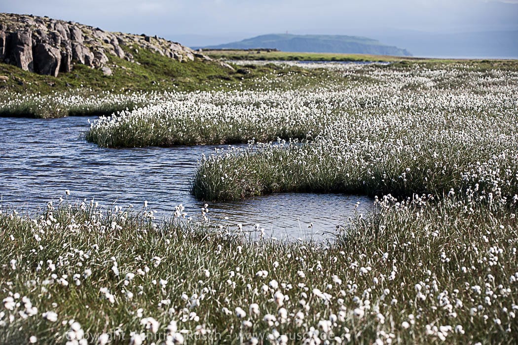Landscape at Drangsnes, Iceland