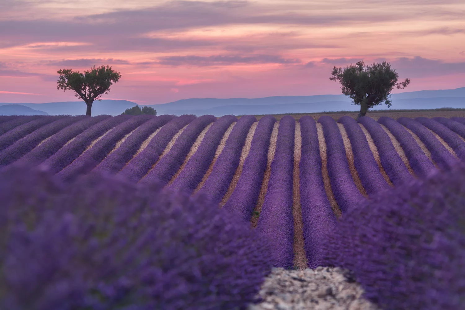 Top 69 Photo Spots in Provence, France in 2024