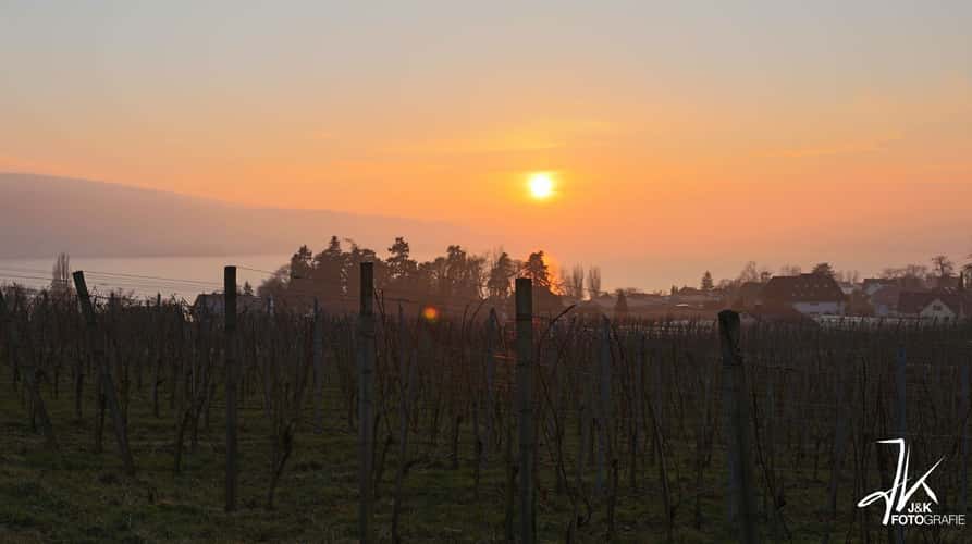 Reichenau
