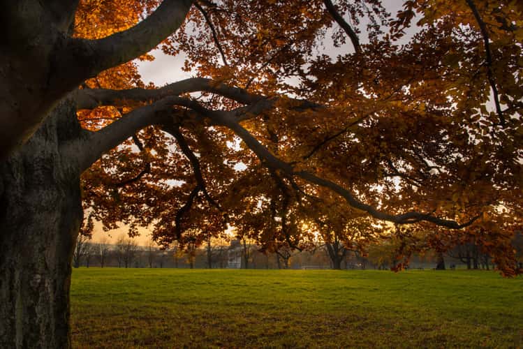 Rosensteinpark Stuttgart