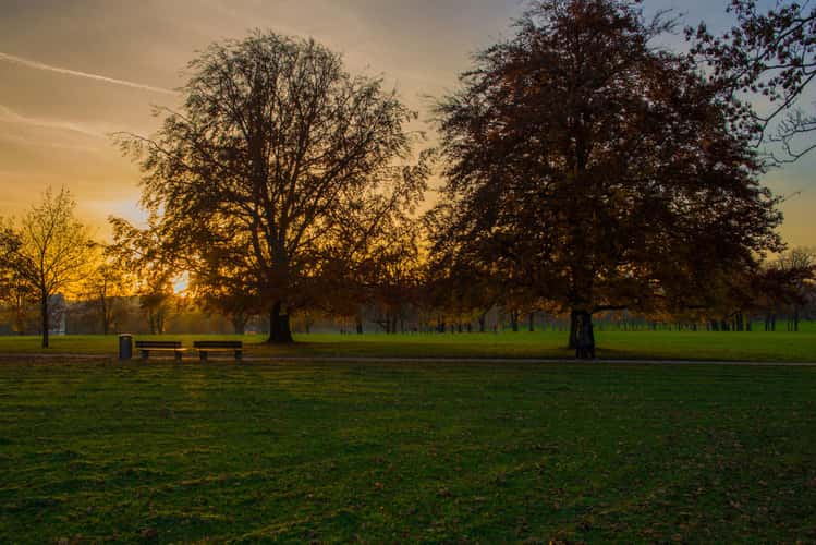 Rosensteinpark Stuttgart