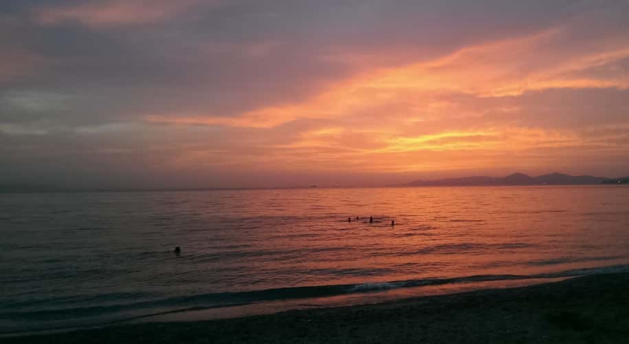 Sunset Swim