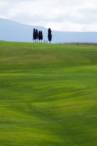 Torrenieri, Toscana