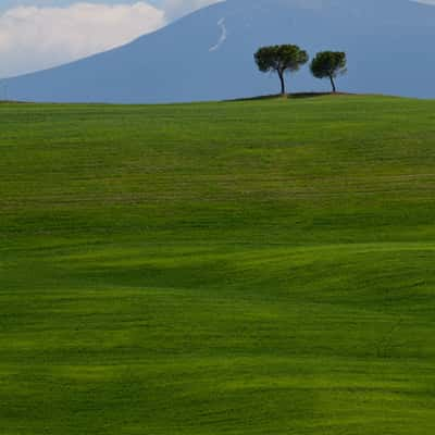 Torrenieri, Toscana, Italy