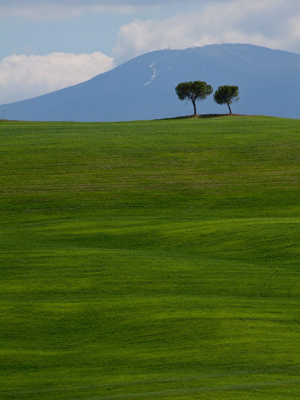 Torrenieri, Toscana, Italy