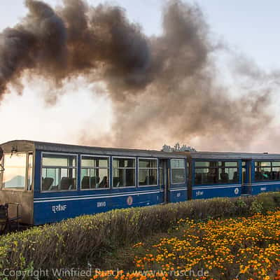 Toy Train, India