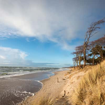 Weststrand Darß - Westbeach, Germany