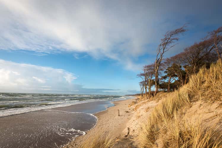 Weststrand Darß - Westbeach