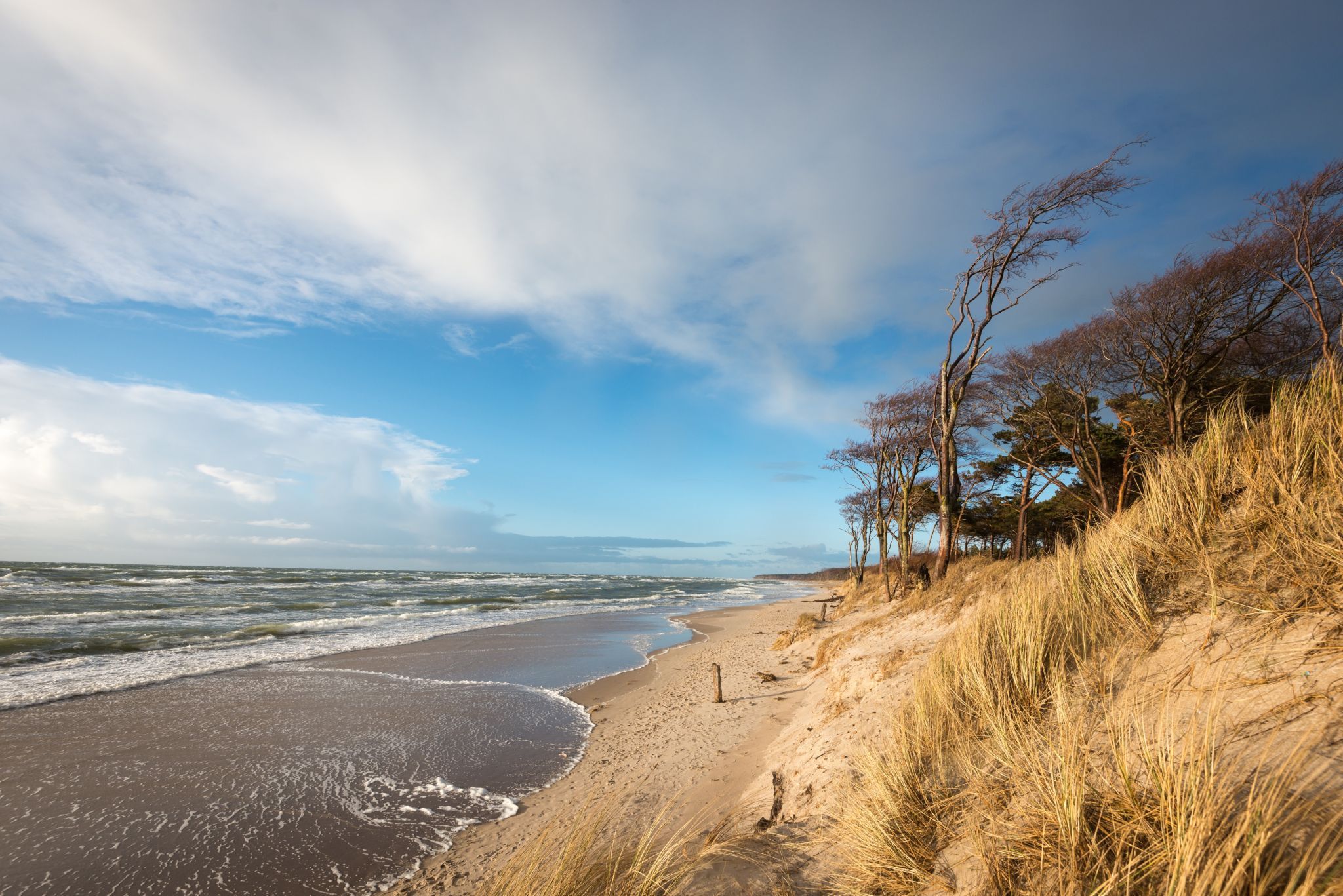Weststrand Darß - Westbeach, Germany
