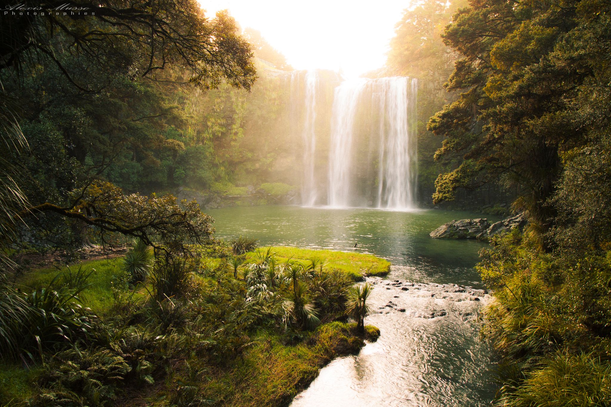 Whangarei Fall, New Zealand