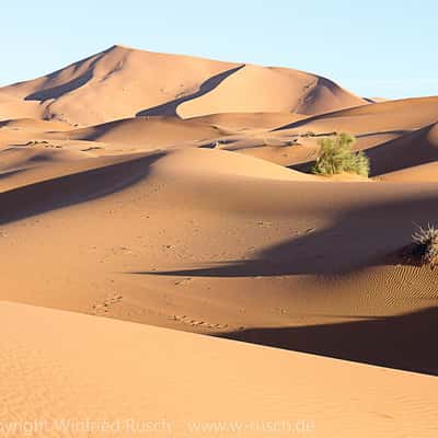 Wüste Erg Chebbi, Morocco