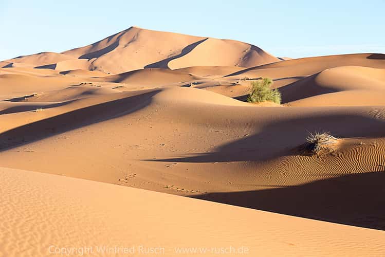 Wüste Erg Chebbi