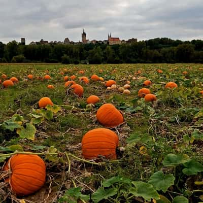 Bad Wimpfen, Germany