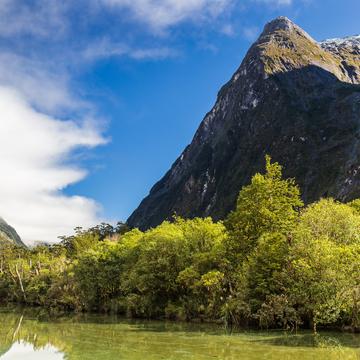 Clinton River, Milford Track, New Zealand