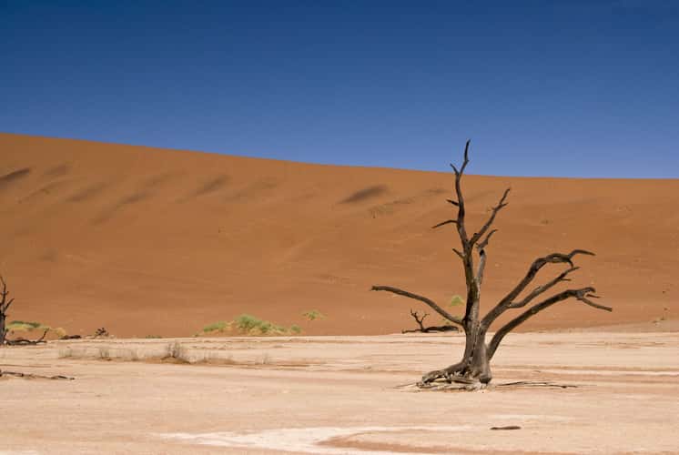 Deadvlei, Sossusvlei