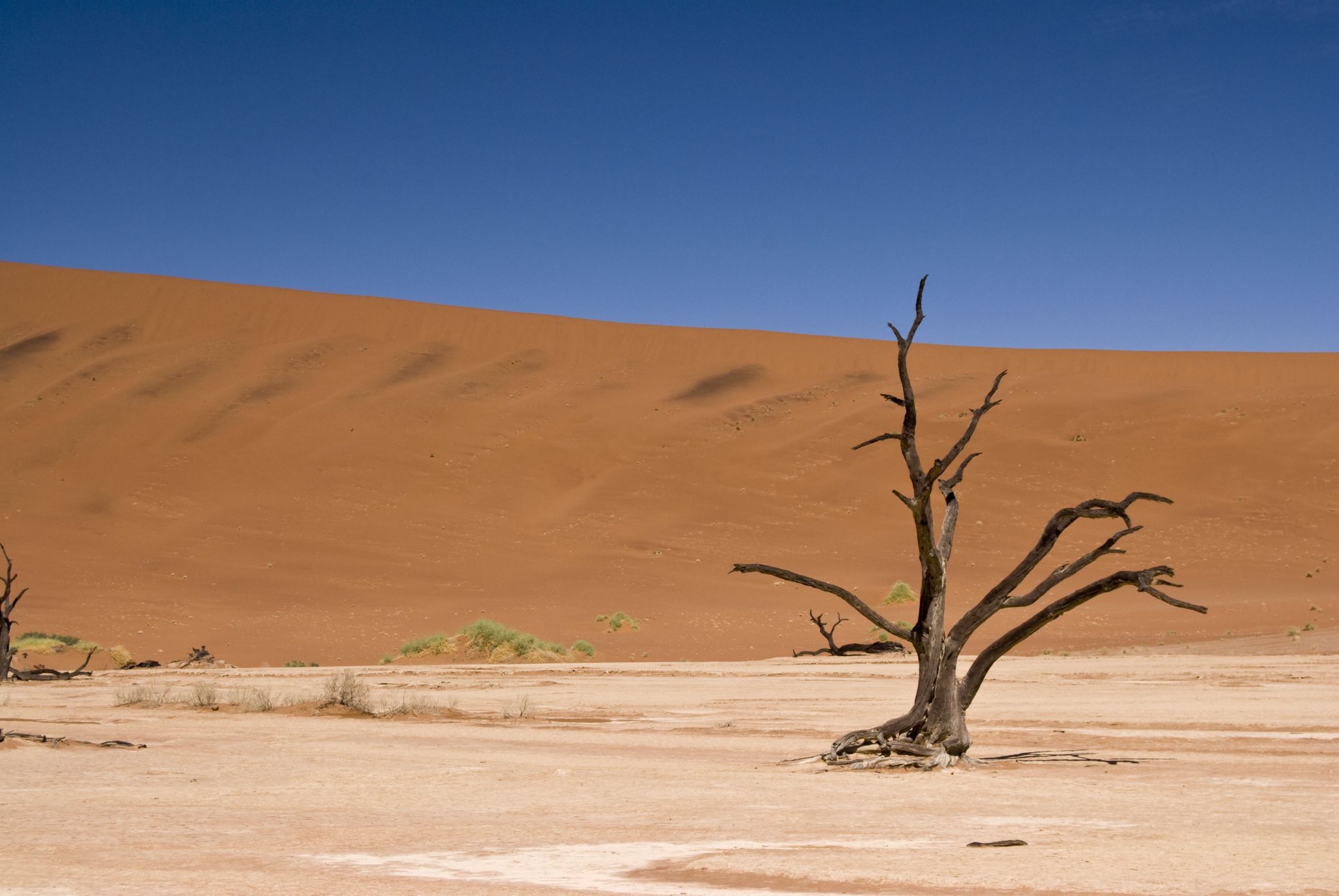 Deadvlei, Sossusvlei, Namibia