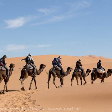 Dromedarritt in der Wüste Erg Chebbi, Morocco