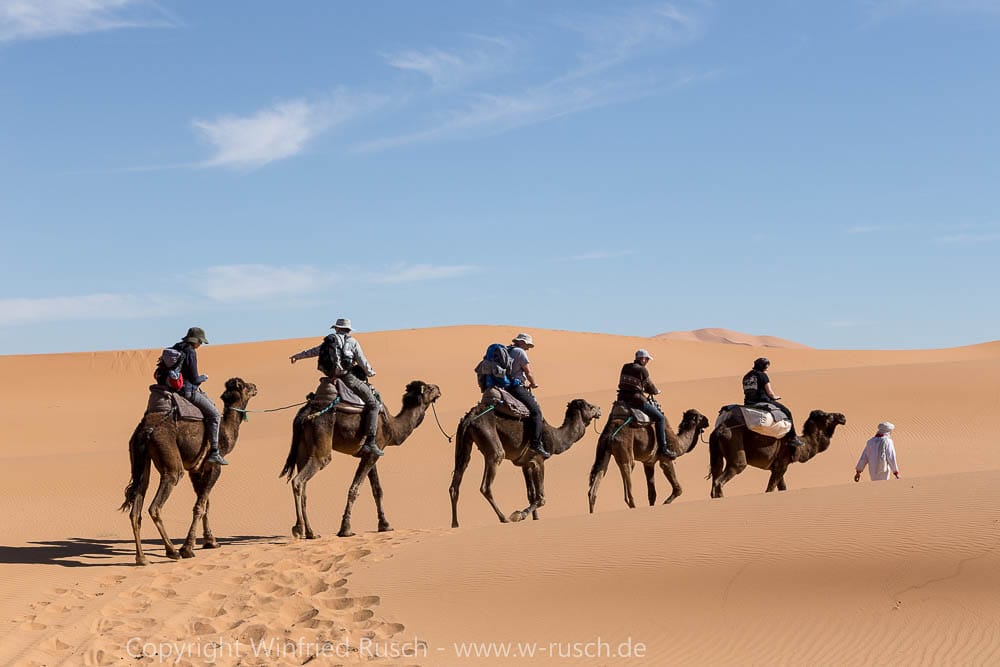 Dromedarritt in der Wüste Erg Chebbi, Morocco