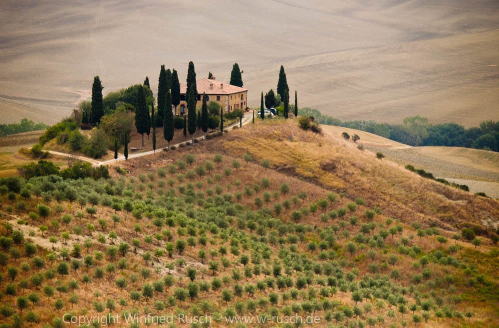 I Cipressini bei Pienza, Italy
