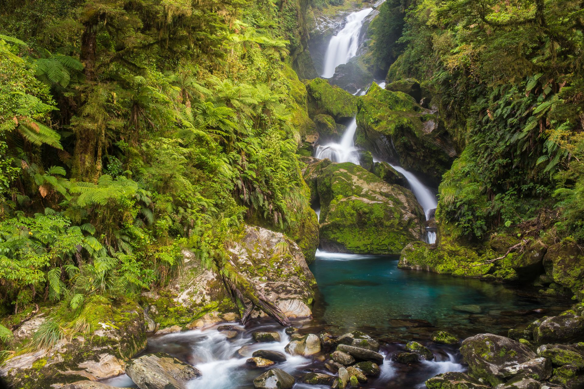 Mackay Falls, Milford Track, New Zealand