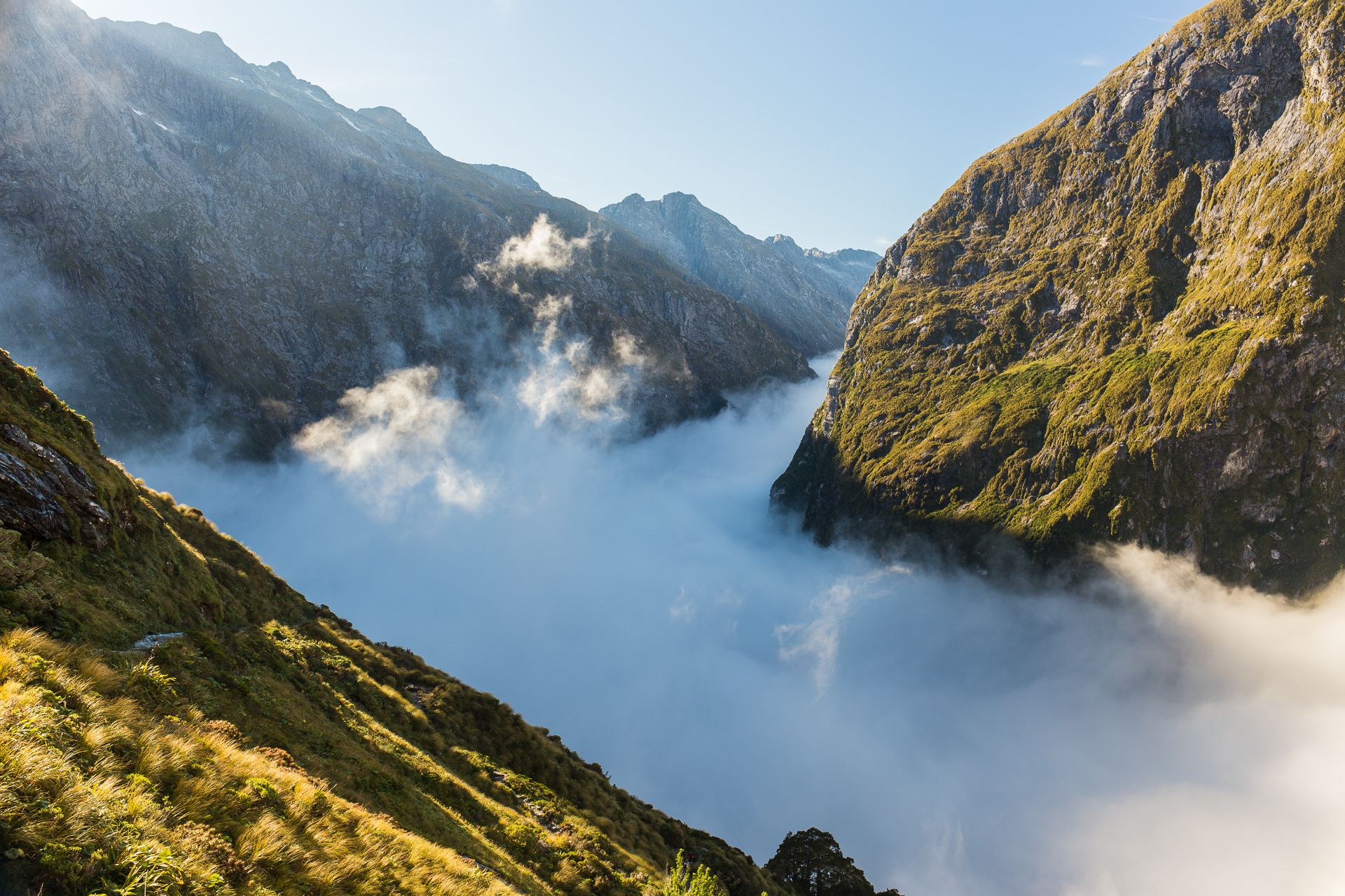 Mackinnon Pass, Milford Track, New Zealand
