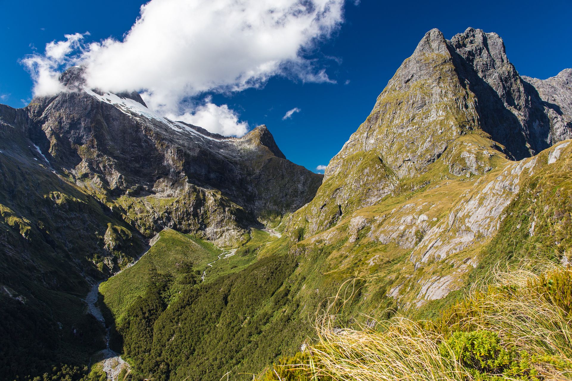 Mackinnon Pass, Milford Track, New Zealand