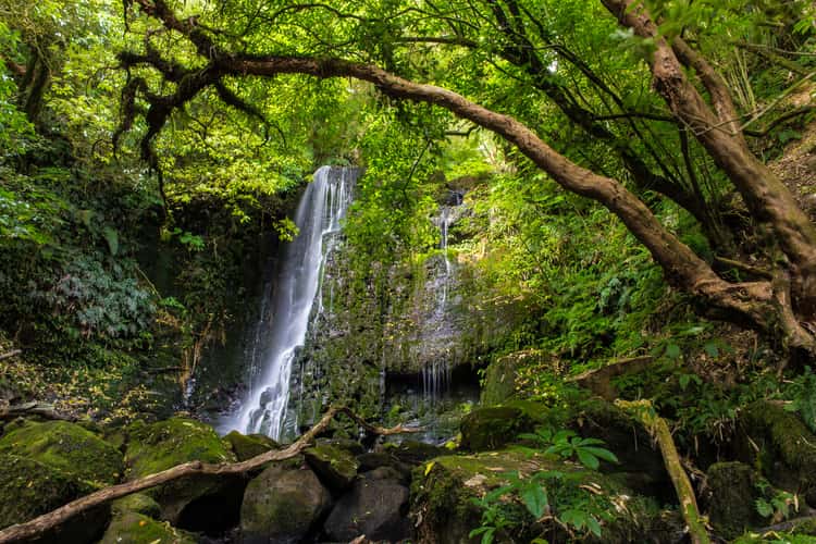 Matai Falls, Catlins