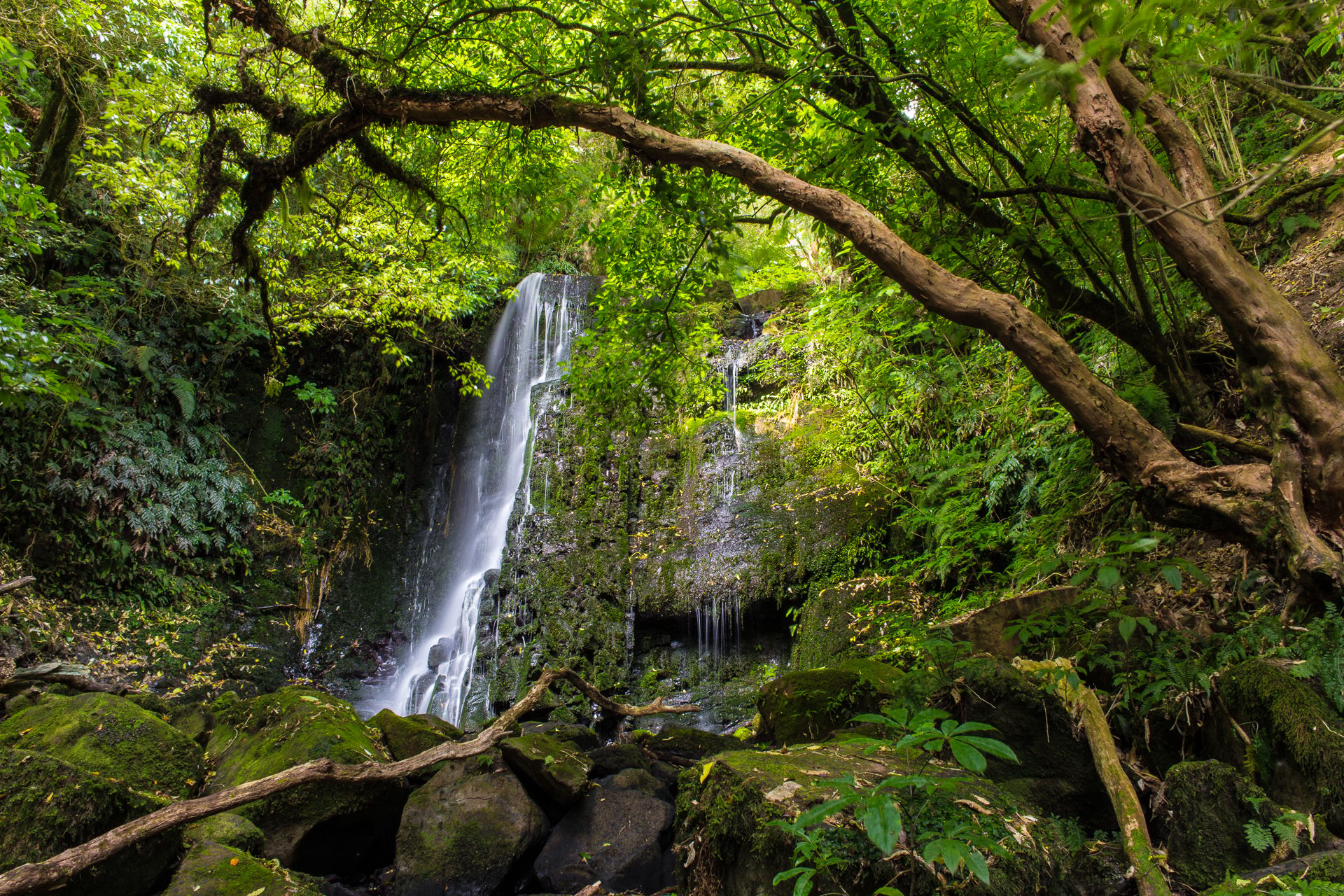 Matai Falls, Catlins, New Zealand