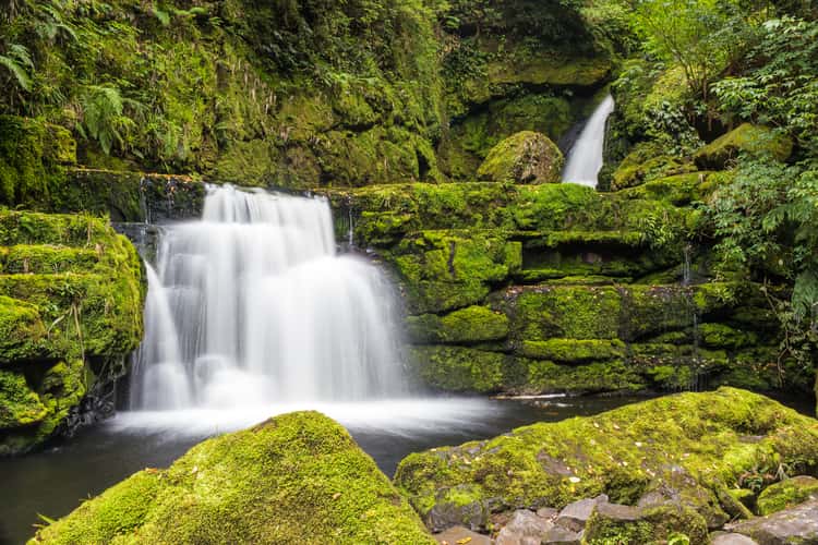 McLean Falls, Catlins