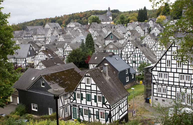 'Old spot', Freudenberg