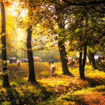 Parco della Rimembranza, Italy