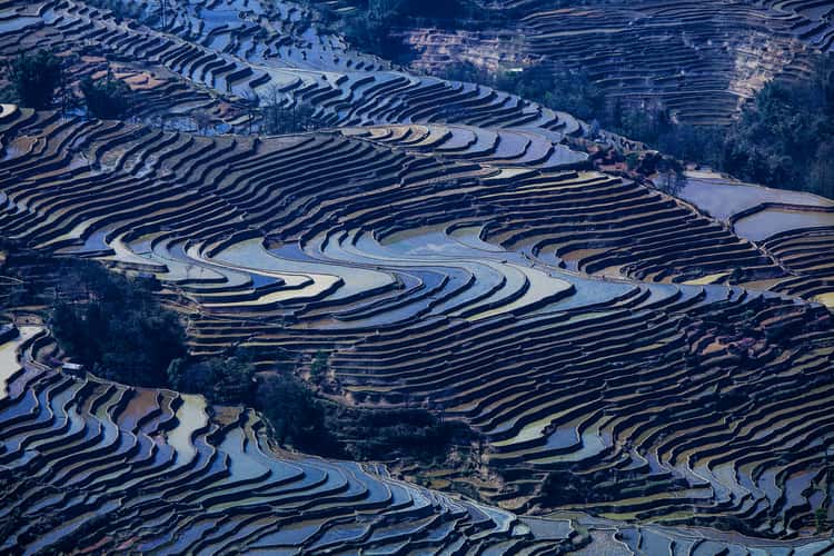 View over rice terraces
