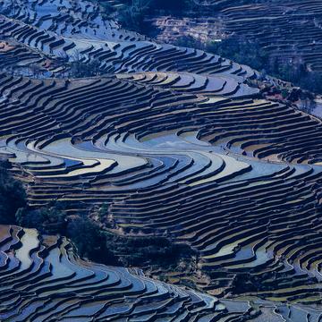 View over rice terraces, China