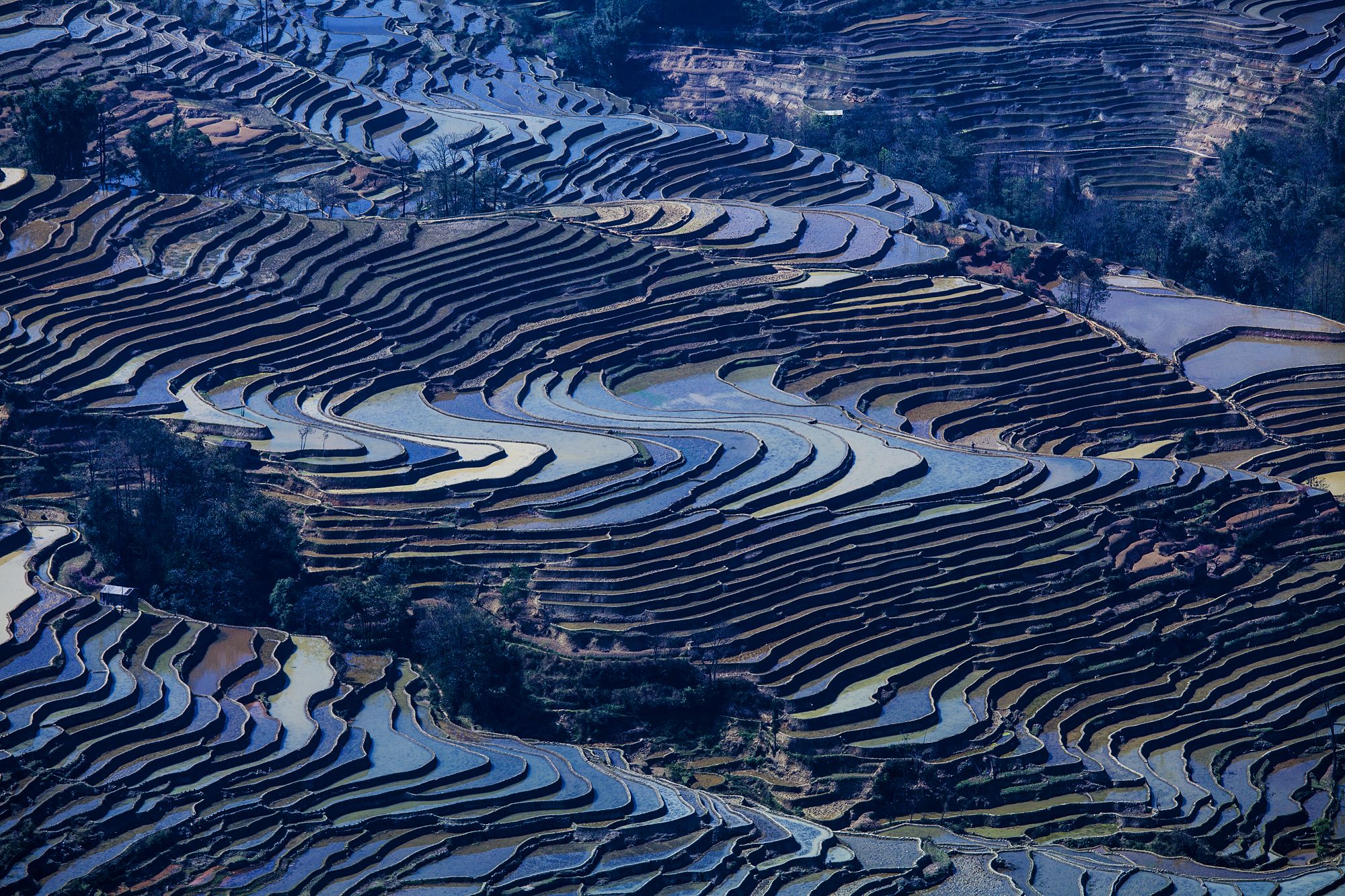 View over rice terraces, China