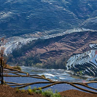 Reisterrassen am Tag, China