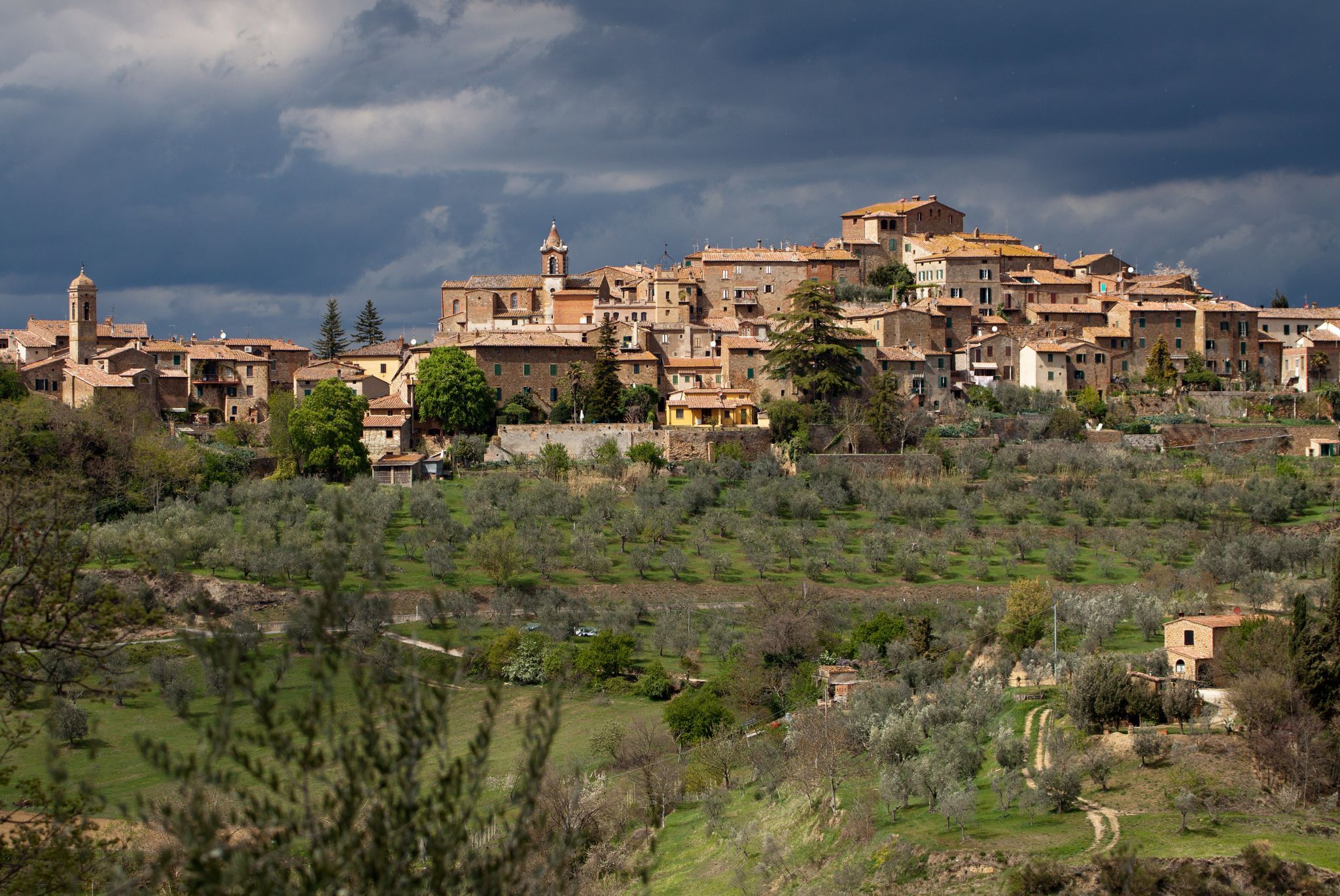 Montisi, Tuscany, Italy
