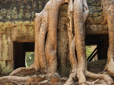 Tempelanlage Ta Prohm
