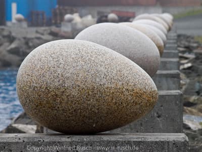The Eggs of Merry Bay