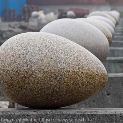 The Eggs of Merry Bay, Iceland